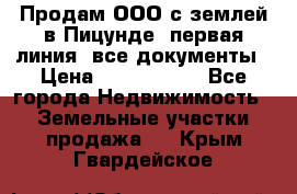 Продам ООО с землей в Пицунде, первая линия, все документы › Цена ­ 9 000 000 - Все города Недвижимость » Земельные участки продажа   . Крым,Гвардейское